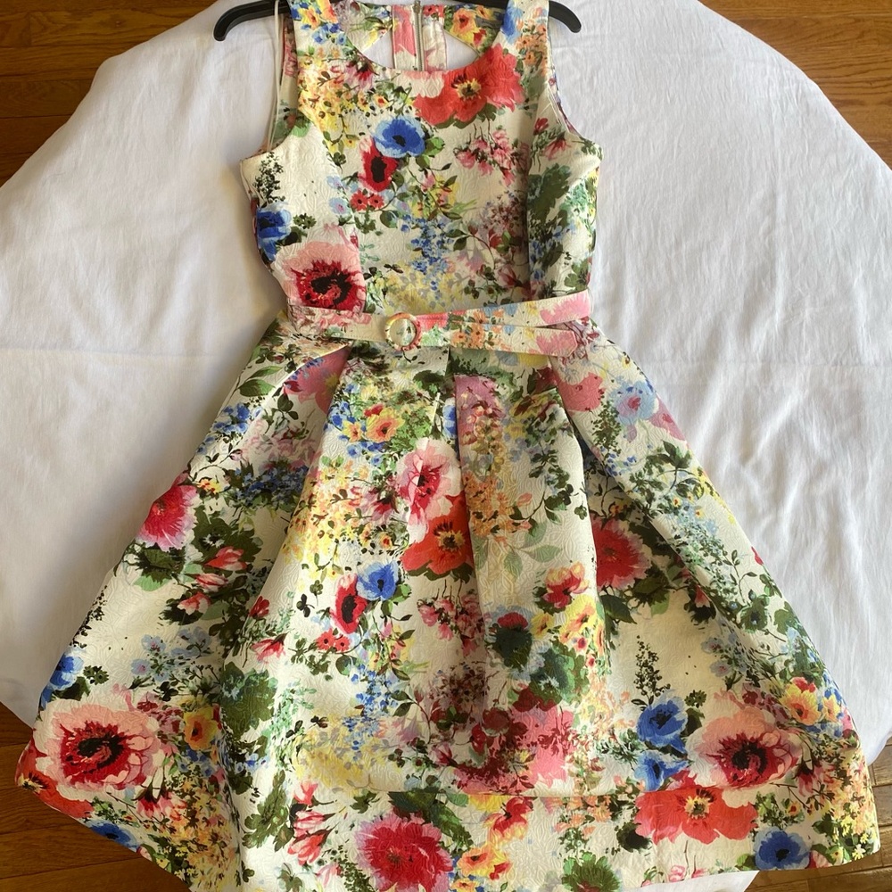 Danny & Nicole Blue and Red Sleeveless A-Line Sundress
